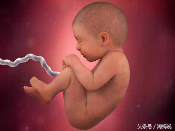 北京第三方助孕，北京助孕包性别中介-正规助孕中介