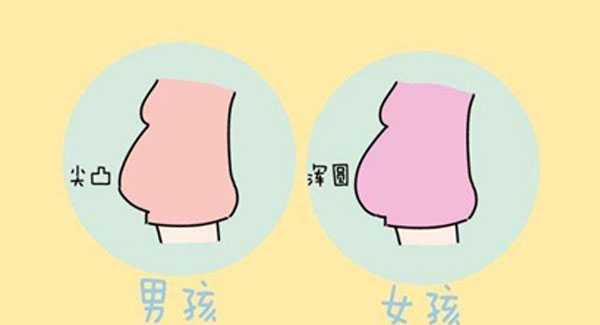 北京供卵试管生孩子服务_北京2022代怀价格_孕妇肚子尖和圆的区别是什么？肚子